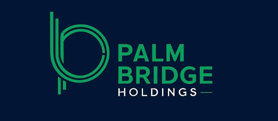 PalmBridge HoldingsLogo